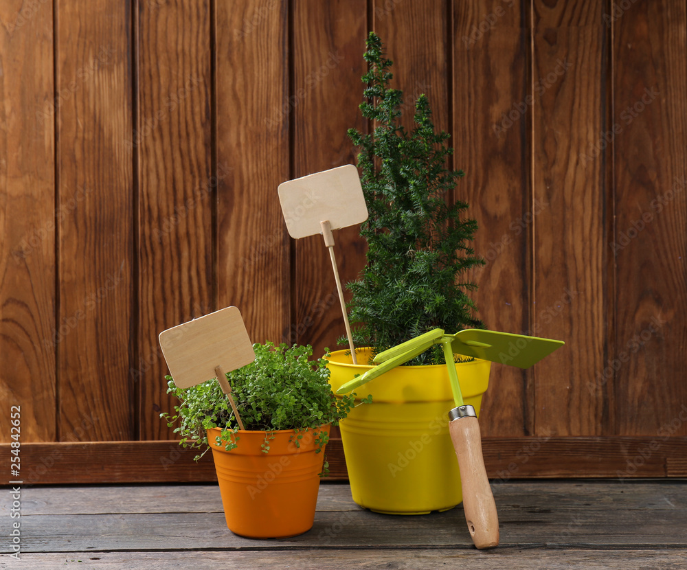 Gardening tool and plants on wooden background