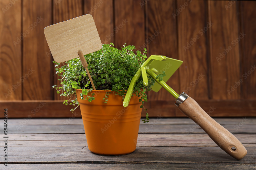 Gardening tool and plant on wooden background