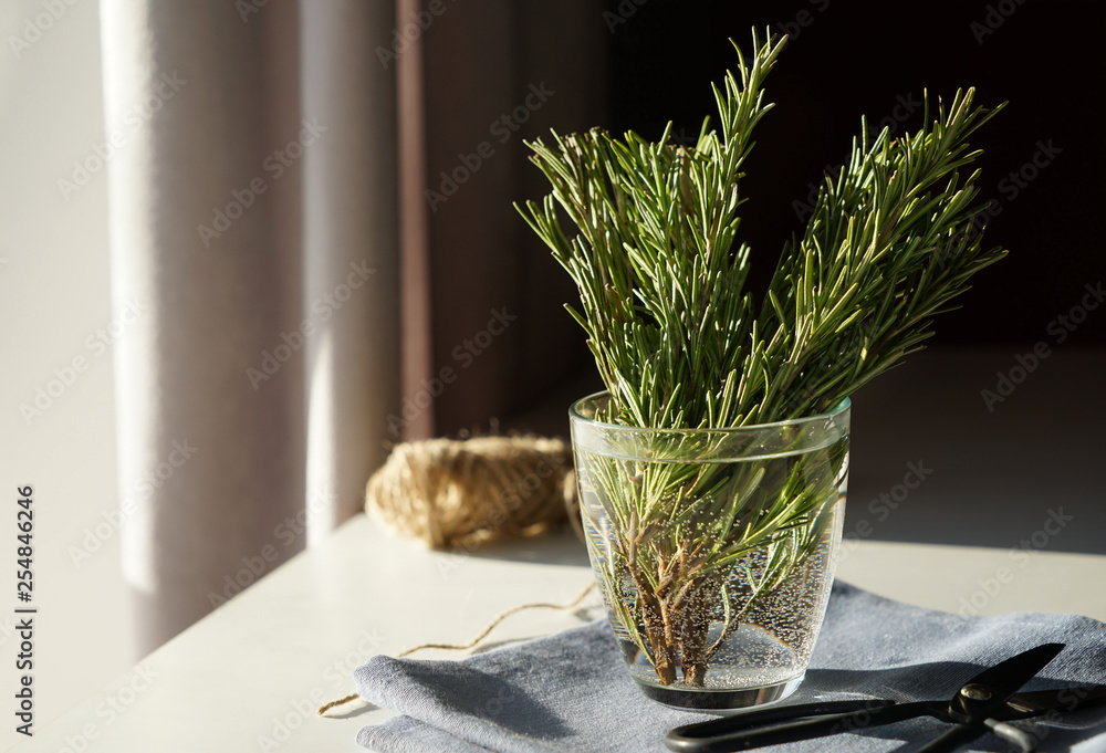 Fresh rosemary in glass with water and scissors on table