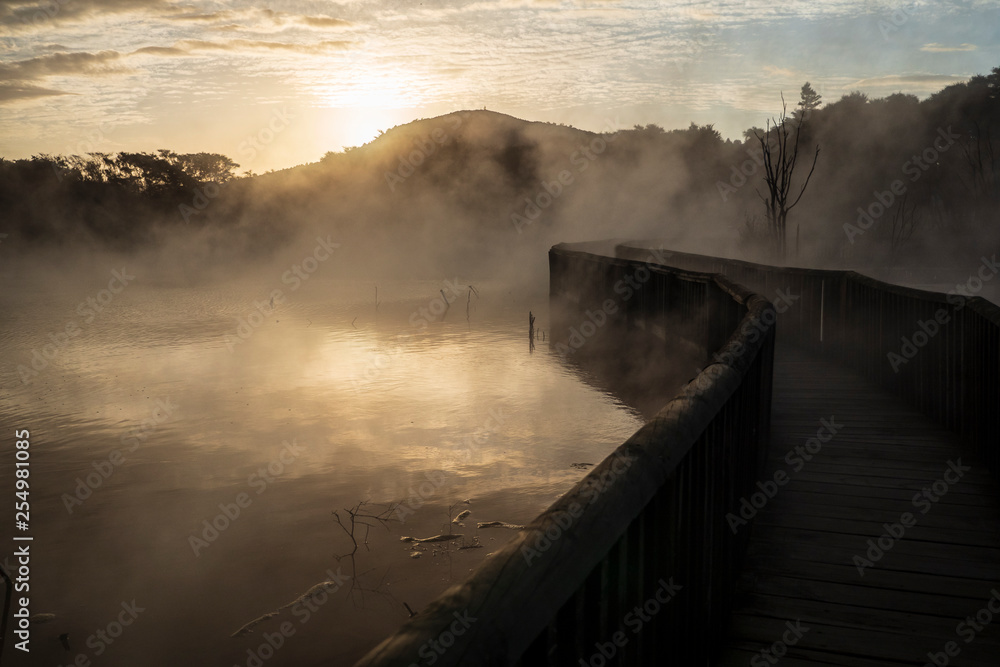 Beautiful Spot along Lake Rotorua, North Island, New Zealand 