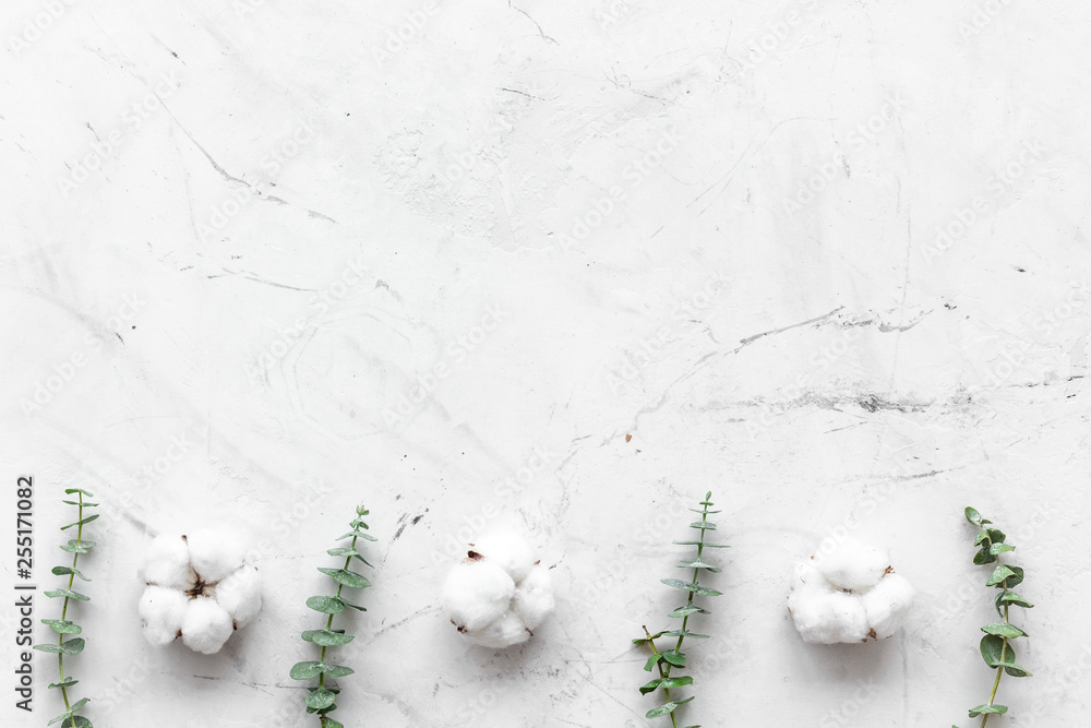 Flowers border with green eucalyptus branches and dry cotton on white stone background top view spac