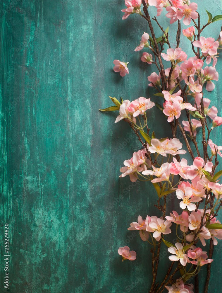 乡村绿色背景下的樱花。