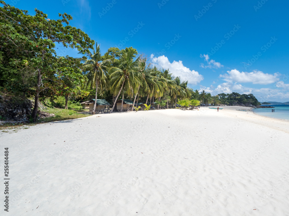 View of tropical beach on the island Malcapuya. Beautiful tropical island with sand beach, palm tree