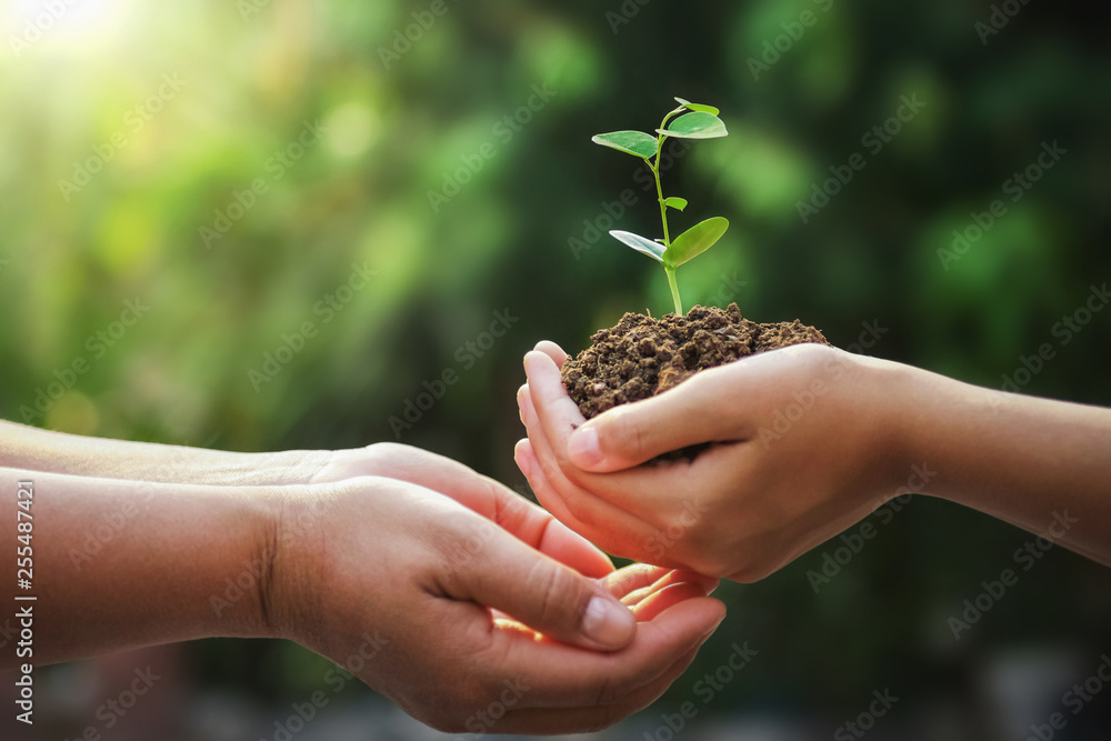 地球日，母亲和孩子抱着小树种植的手