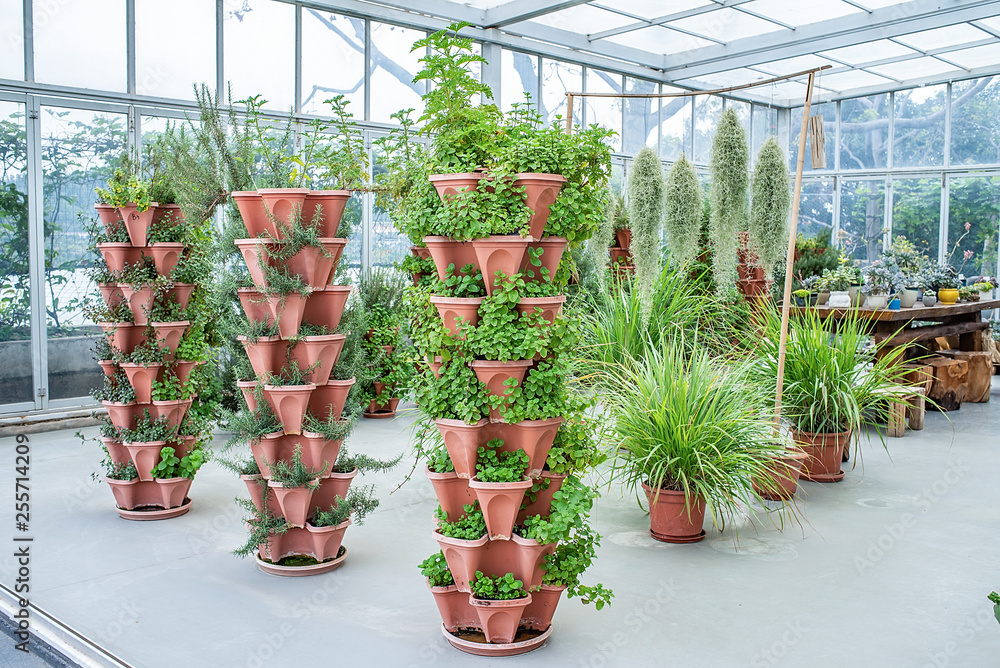 小屋温室植物栽培花园花店