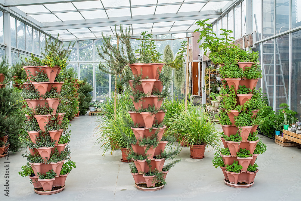 小屋温室植物栽培花园花店