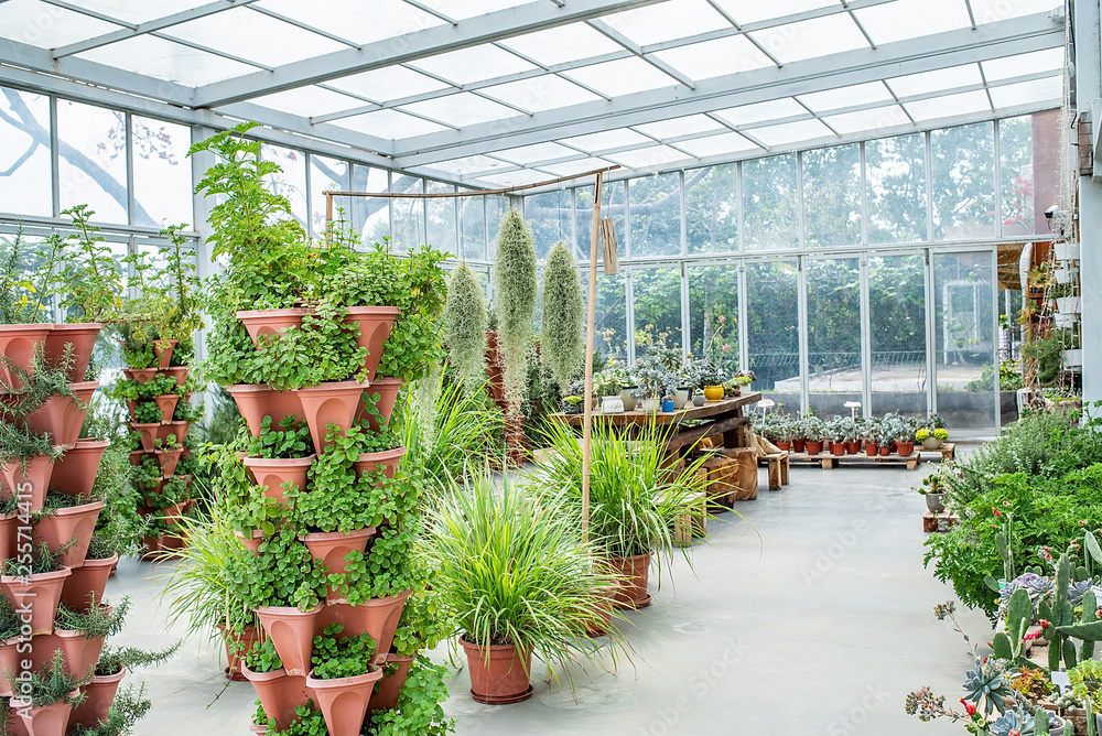 小屋温室植物栽培花园花店