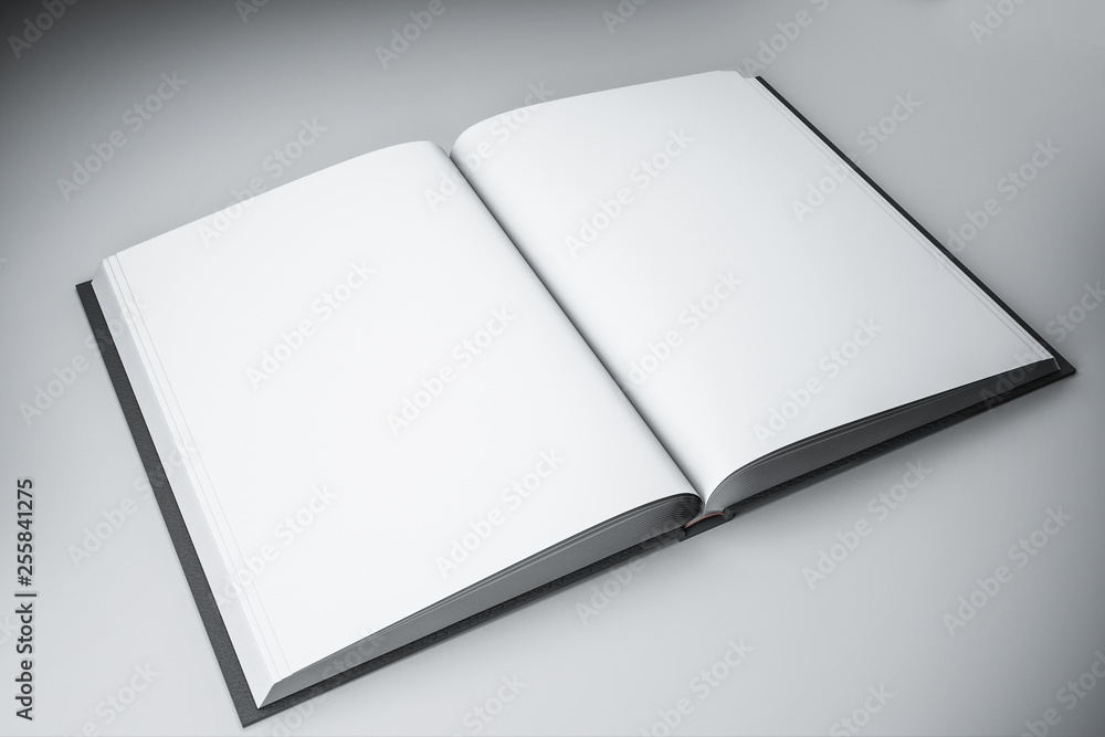 Empty white book