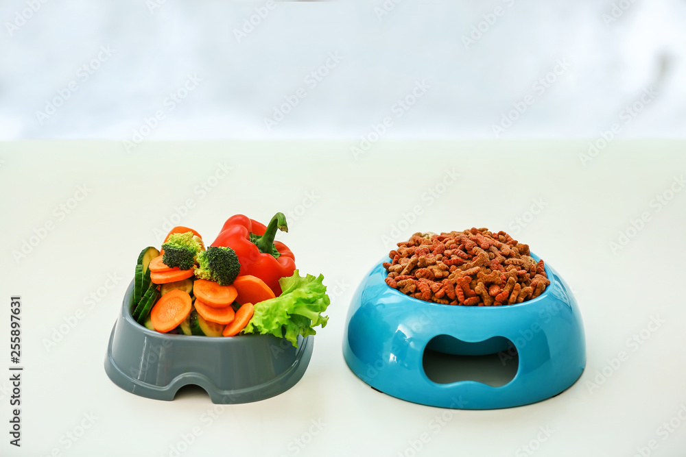 Bowls with dry and fresh pet food on floor