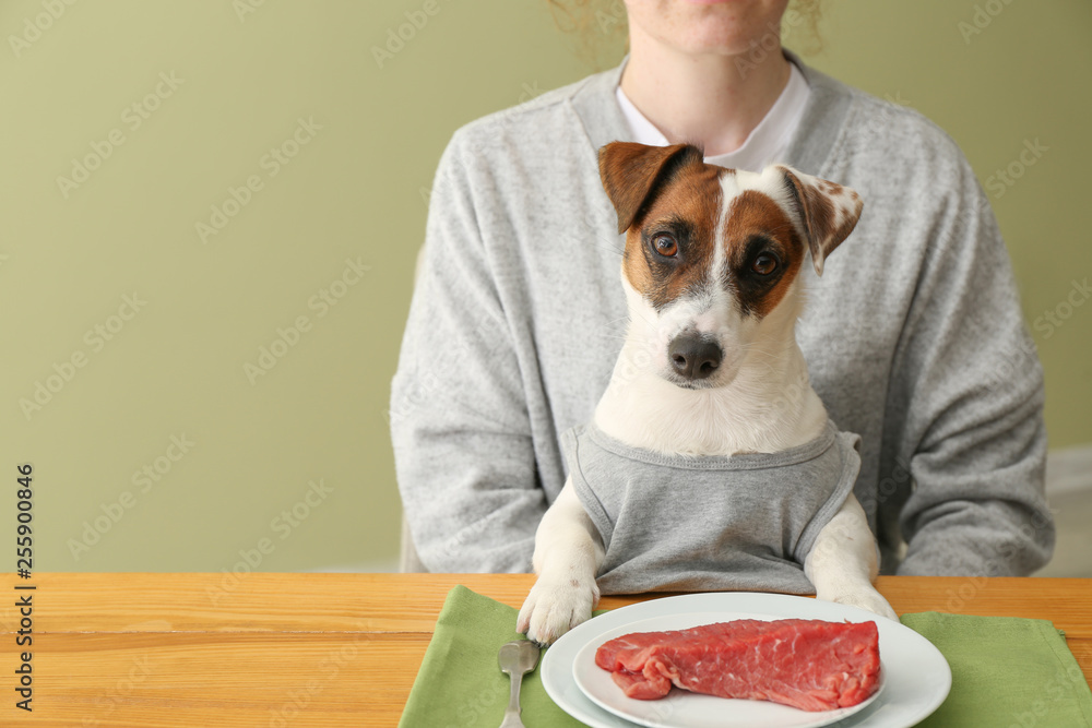 Woman with cute funny dog at served table