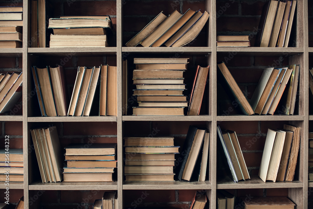 Books on shelves in library