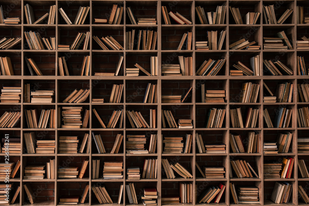 Books on shelves in library