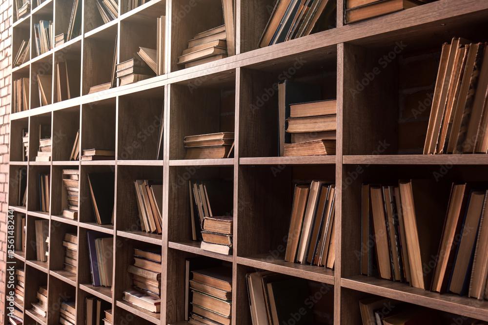 Books on shelves in library