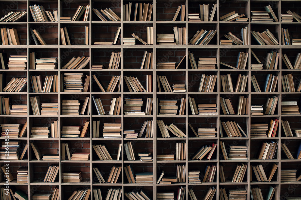 Books on shelves in library