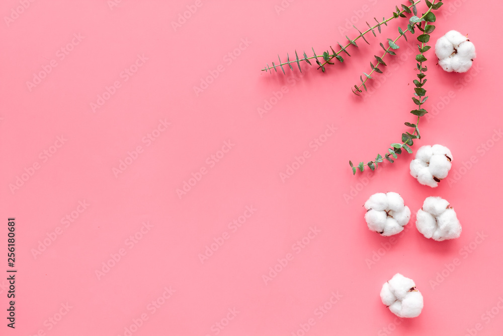 Flowers border with green eucalyptus branches and dry cotton flowers on pink background top view spa