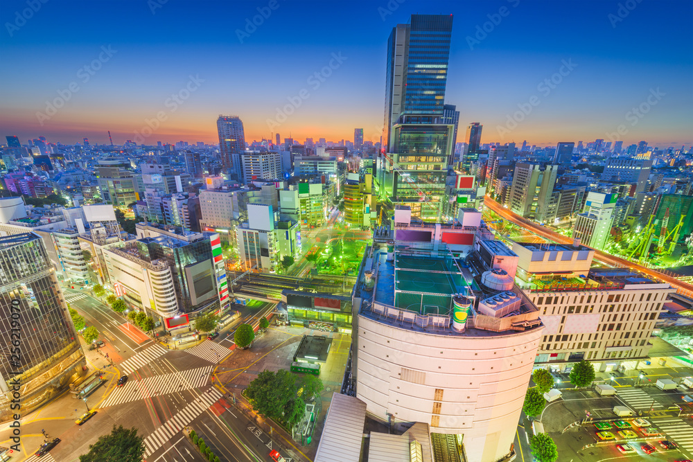 Tokyo, Japan city skyline over Shibuya Ward with the Shinjuku Ward skyline in the distance.