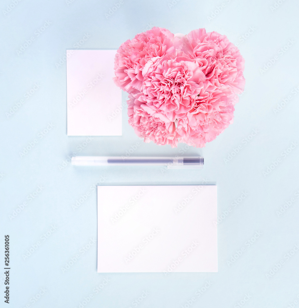 Beautiful fresh blooming baby pink color tender carnations isolated on bright blue background, mothe