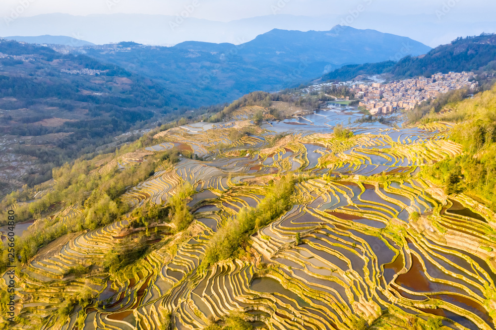 黄昏时美丽的梯田景观