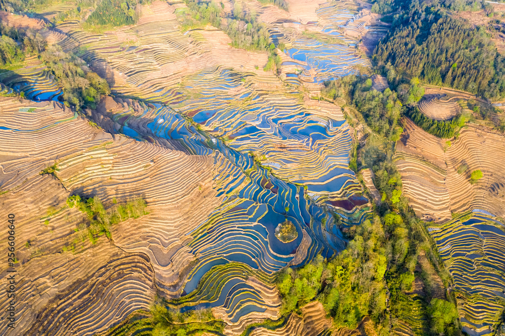 beautiful terraced fields landscape