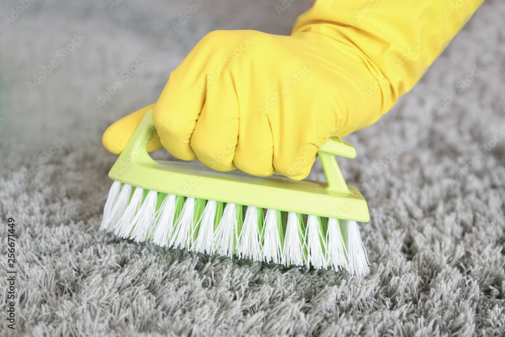 Woman cleaning carpet, closeup