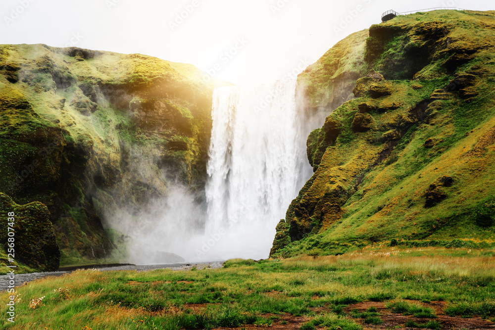 Beautiful scenery of the majestic Skogafoss Waterfall in countryside of Iceland in summer. Skogafoss