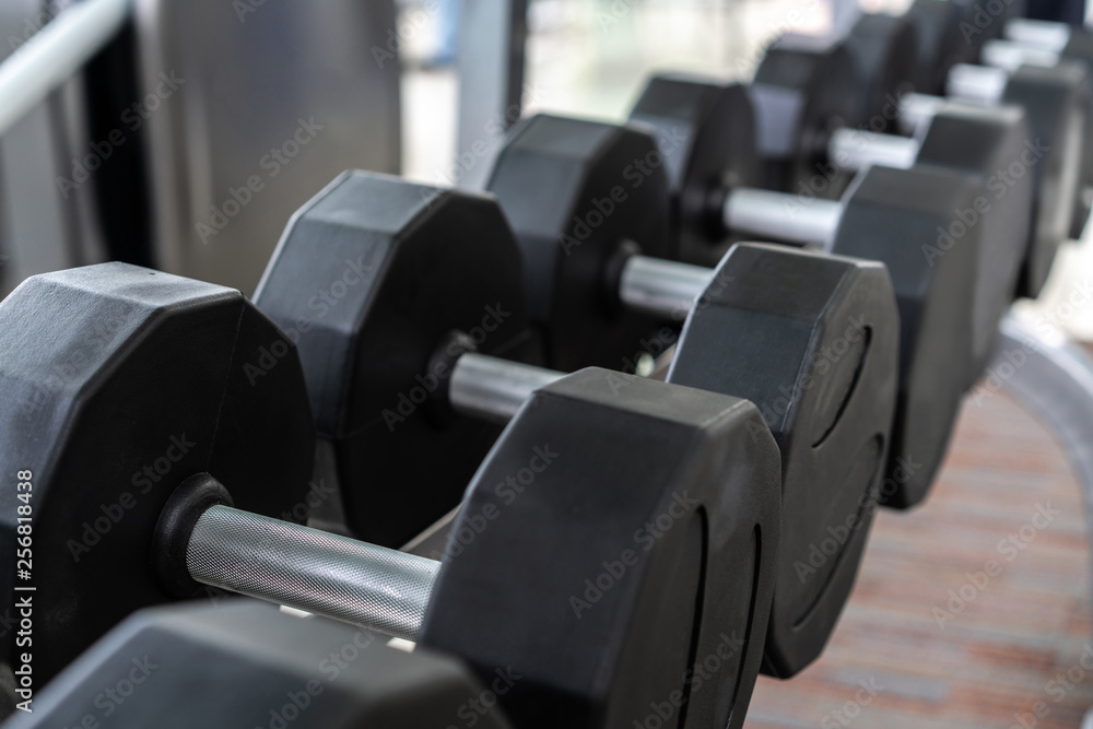 Dumbbells on rack in fitness center. Bodybuilding concept.