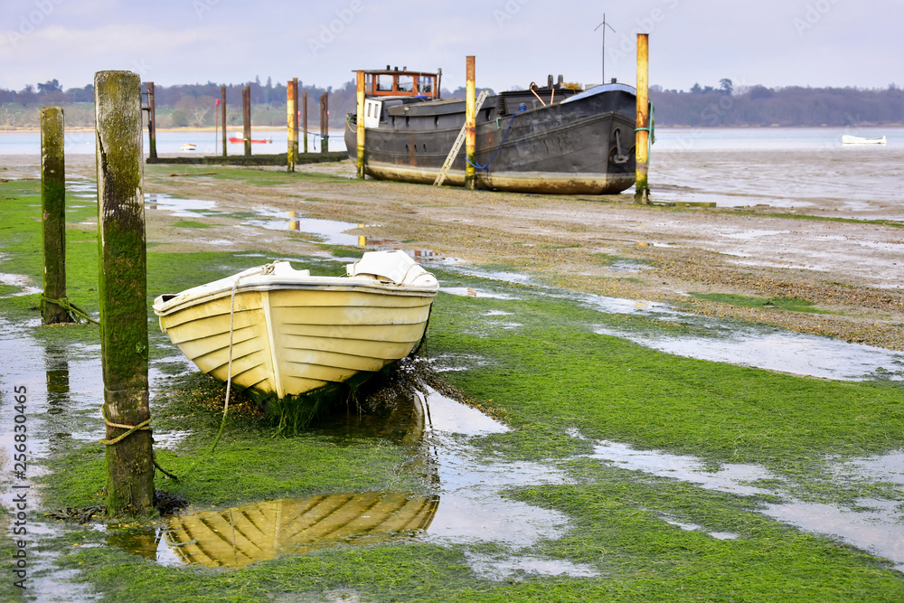  Mossy Old Boats