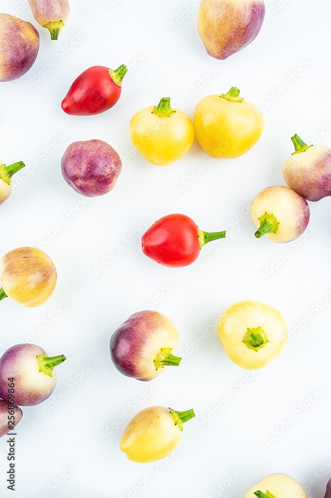 Fresh colorful peppers on white background