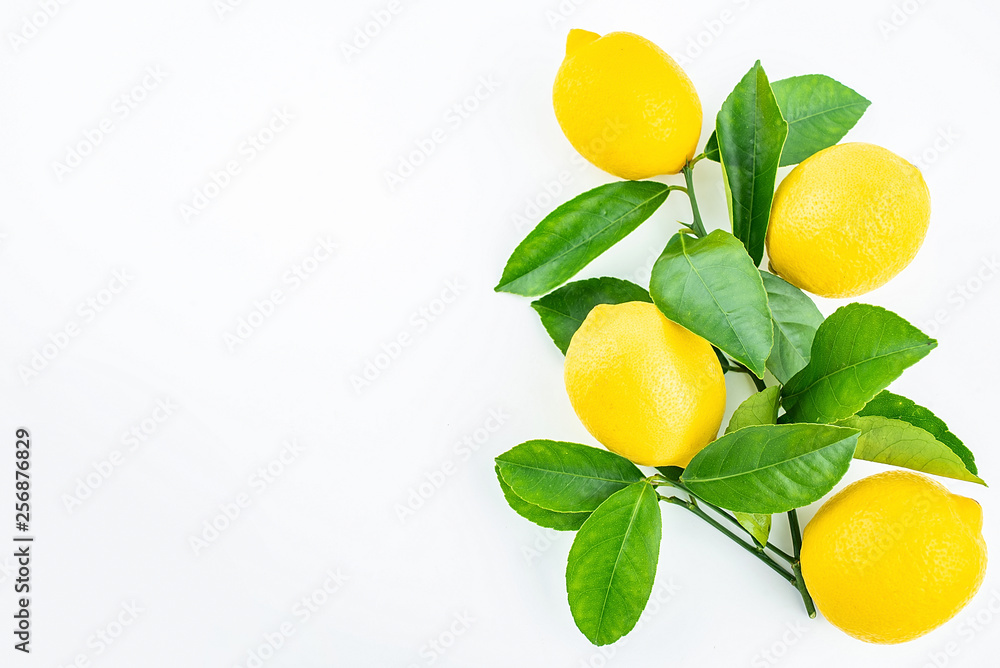 Freshly picked yellow lemon on a white background