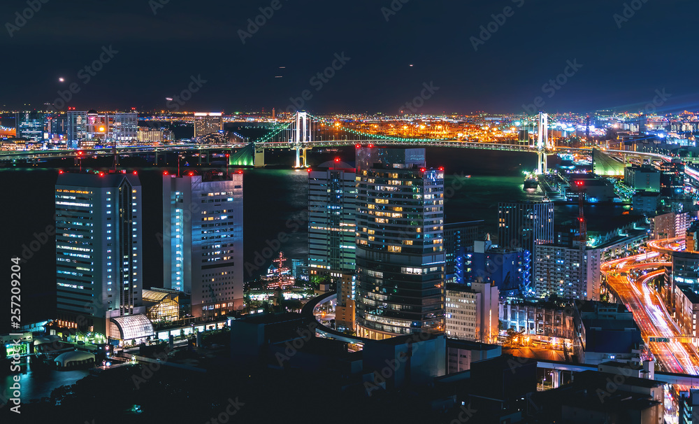 繁忙的东京湾港口夜晚的船只景观