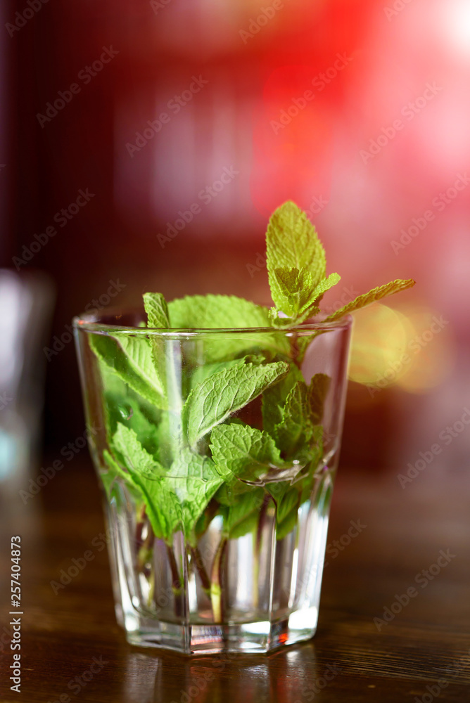 Glass of iced drink with fresh mint with blurred background. Green mint and some water in the glass 