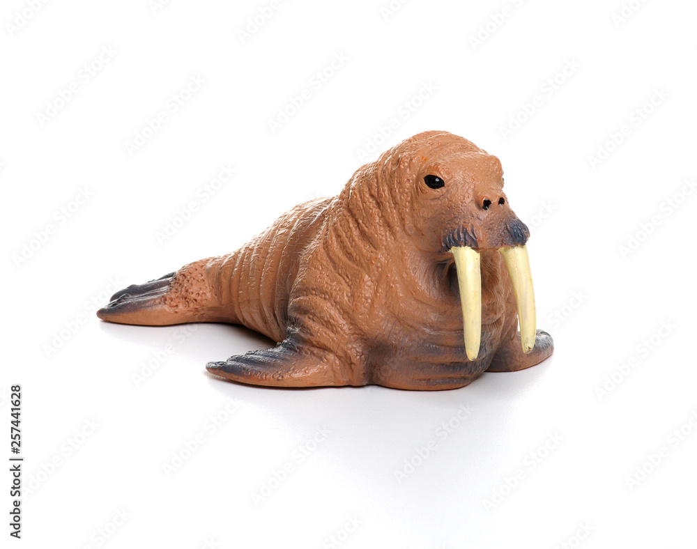 Toy walrus  isolated on white