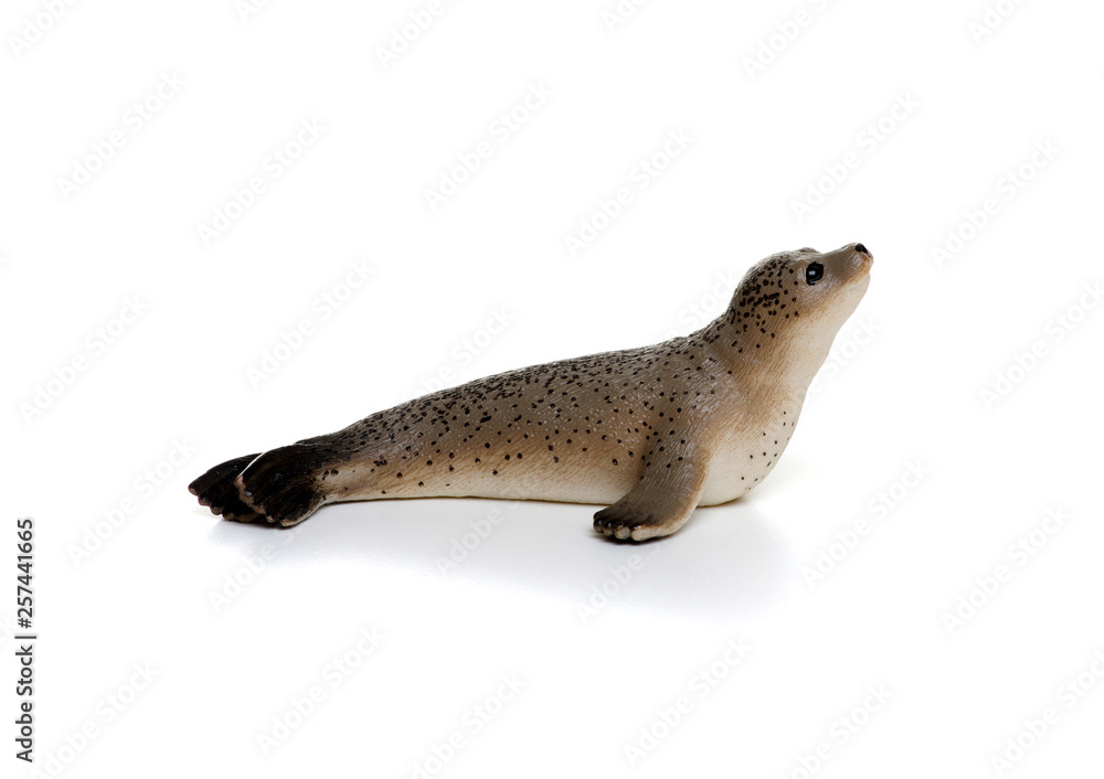 Toy seal isolated on white