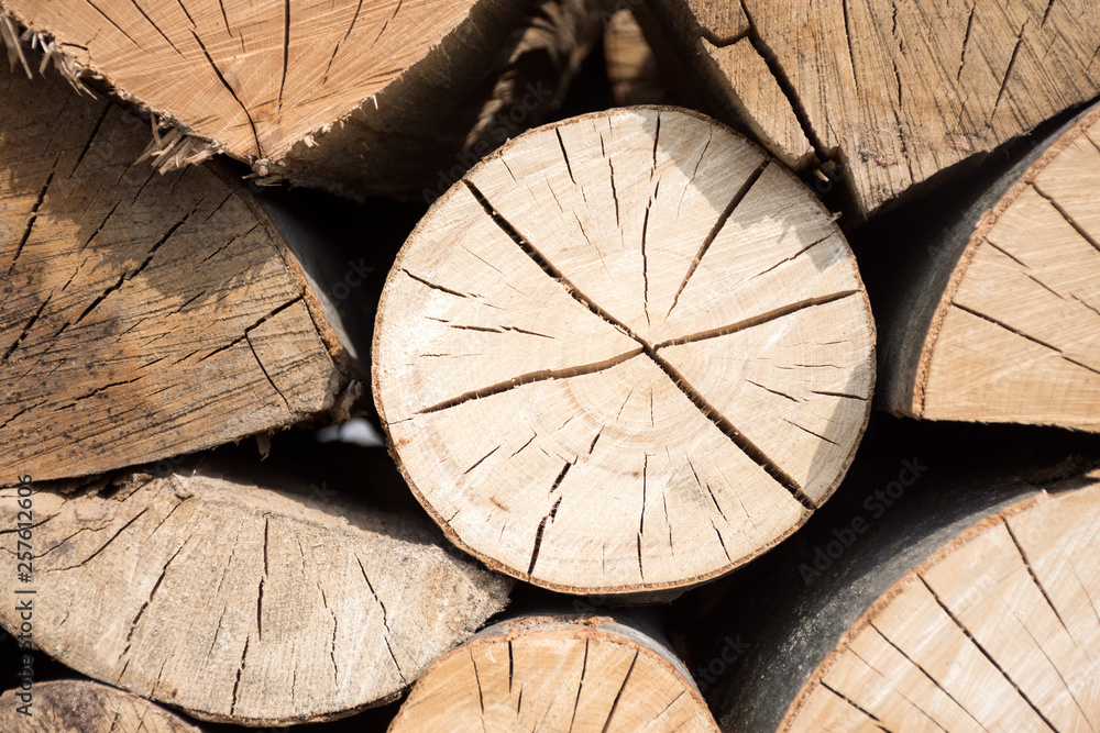 Pile of wood logs ready for winter