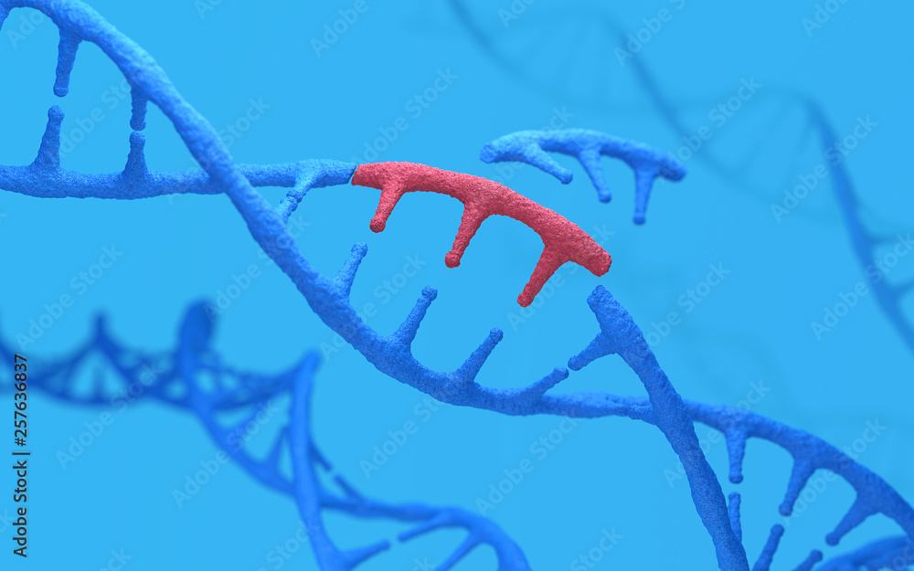 Genetic engineering and gene manipulation concept, 3d rendering,conceptual image.