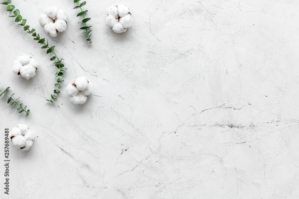 Natural flowers composition with eucalyptus branches and cotton on white background top view, flat l