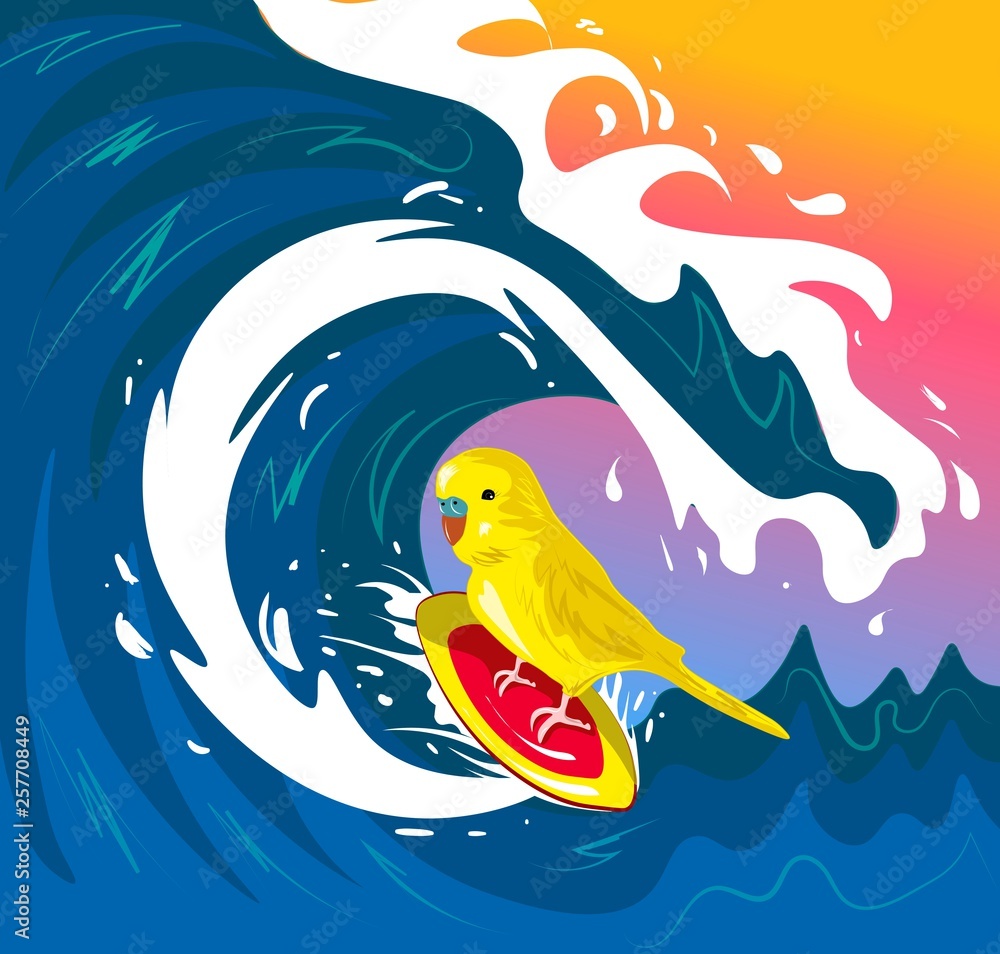 Budgerigar surging on wave. Vector illustration.