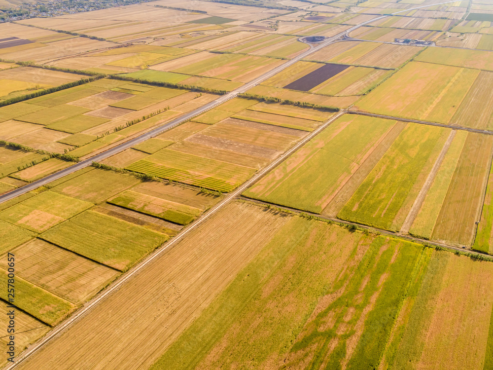 Yellow field and blue sky. The pastoral landscape. The countryside colorful background，Xinjiang, Chi