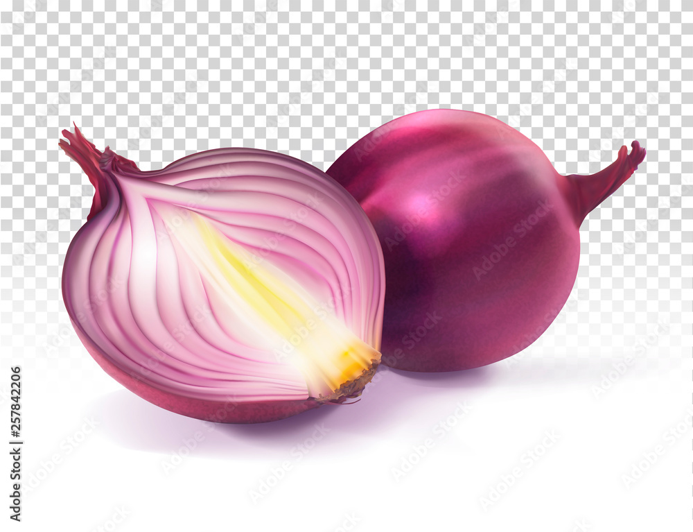 Red onion sliced ​​and whole. Vector realistic illustration on transparent background.