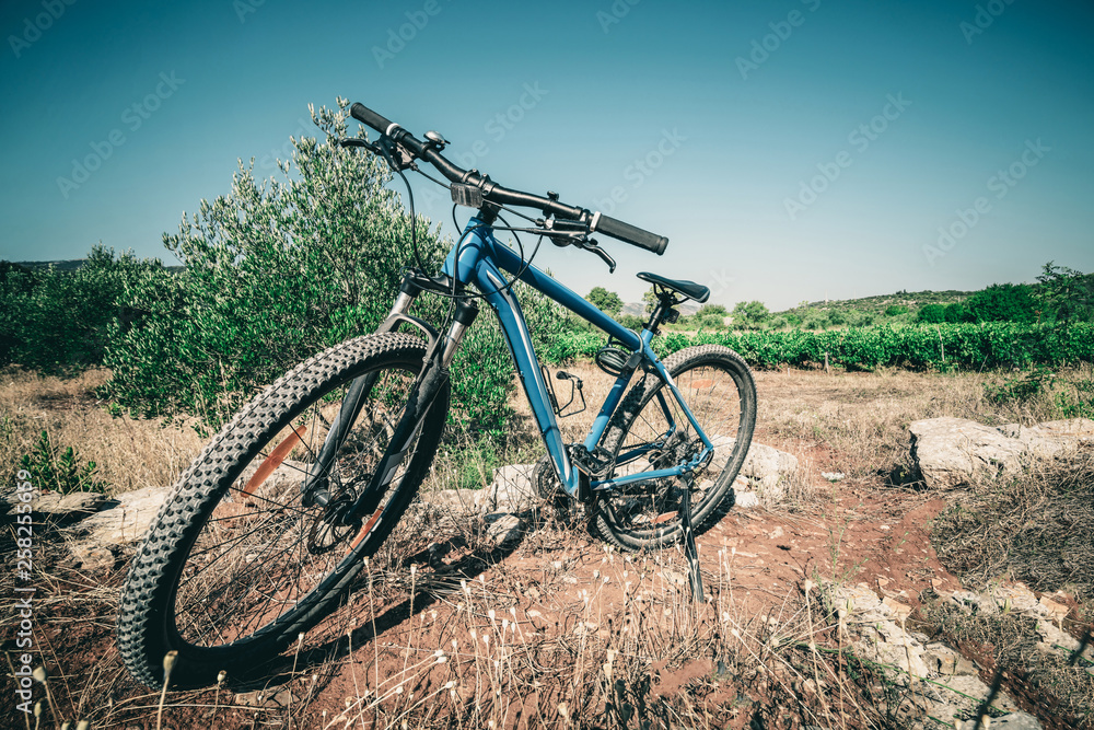 Mountain bike cycling on nature landscape of countryside. Outdoors activity.