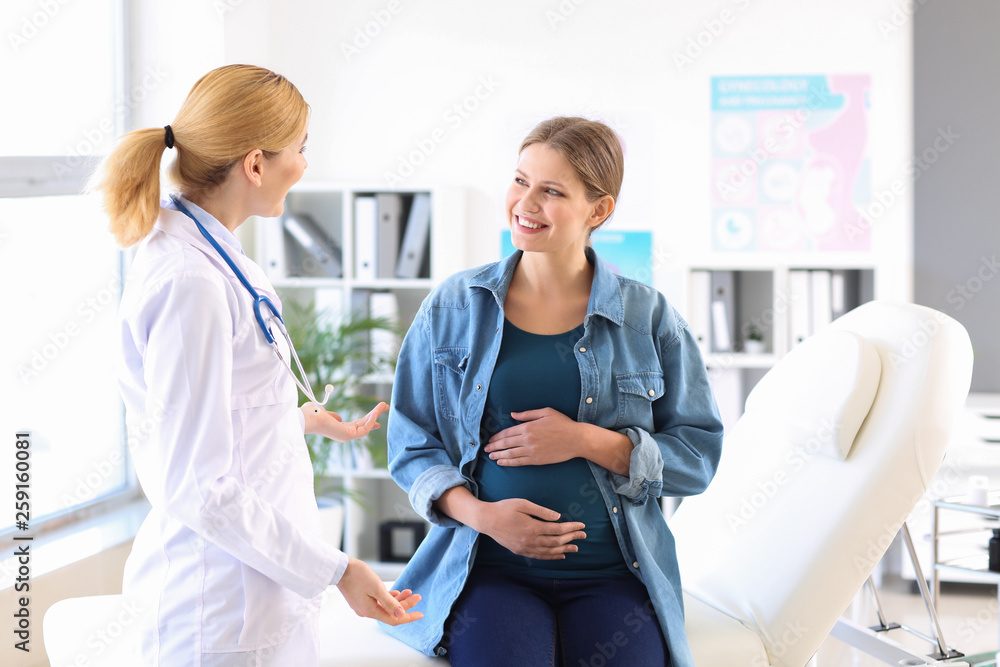 Young pregnant woman visiting her gynecologist in clinic