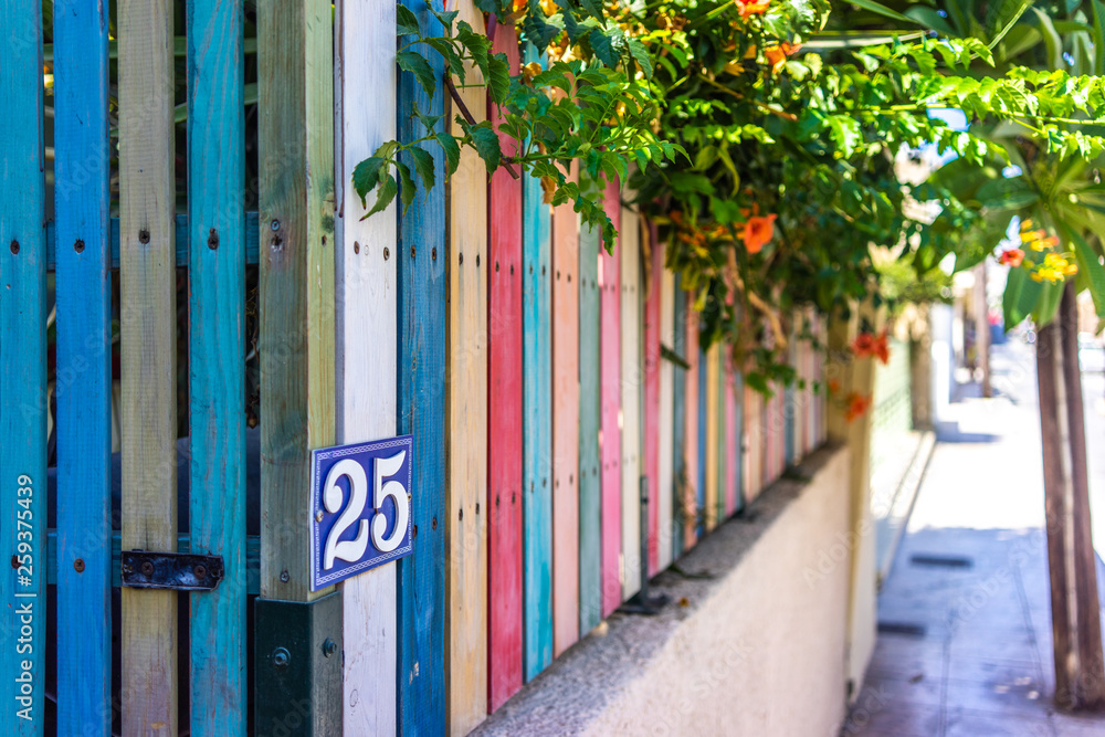 Wood fence Colorful and green vintage tone