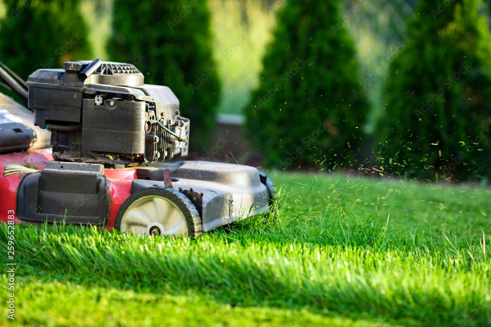 Lawn mower cutting green grass