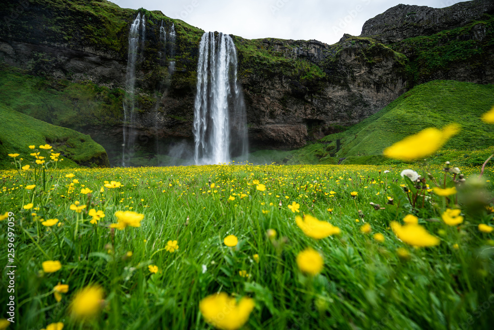 Magical Seljalandsfoss Waterfall in Iceland. It is located near ring road of South Iceland. Majestic