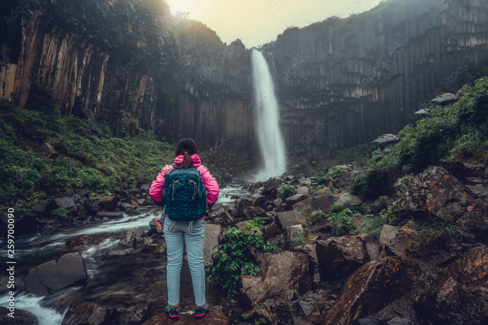 Traveler trekking to Svartifoss falls in Iceland. Svartifoss is unique waterfalls of volcanic rocks 