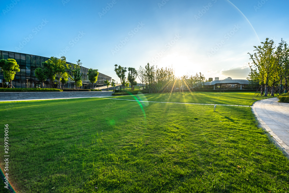 golf course on a sunny day