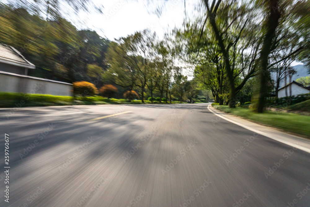 森林中的道路