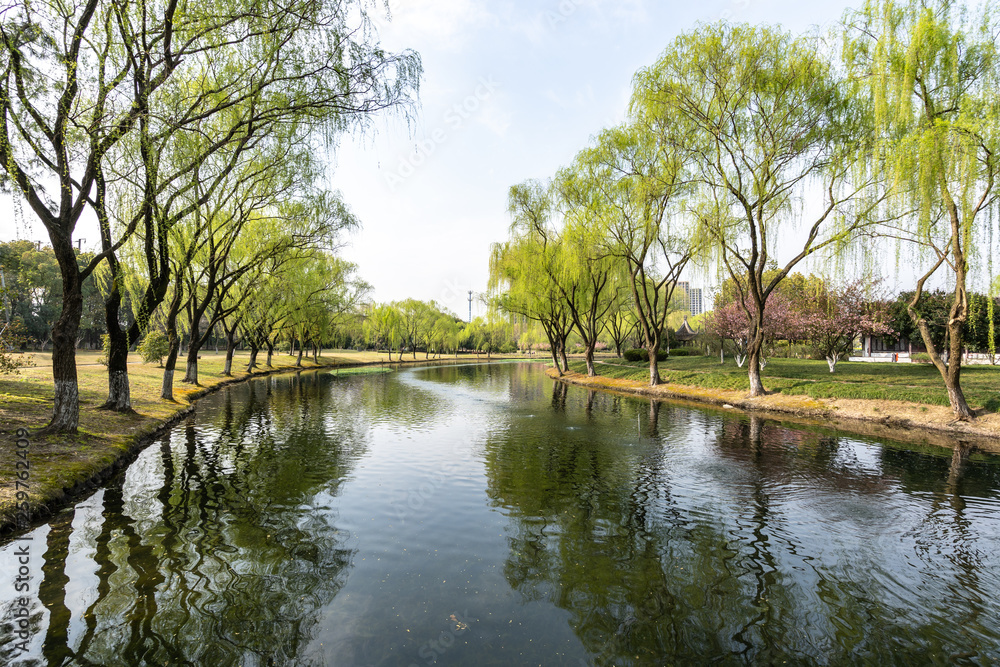 lake in forest