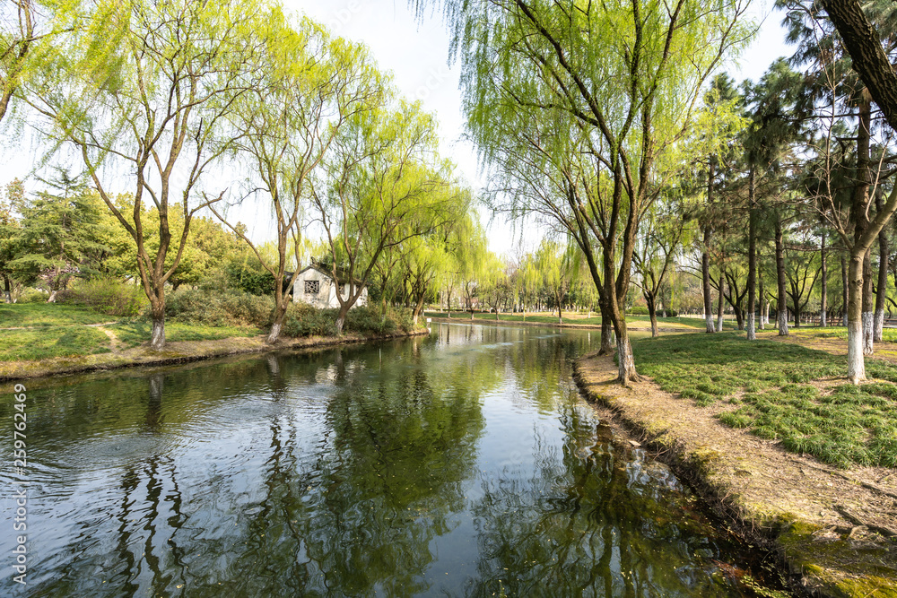 landscape of park