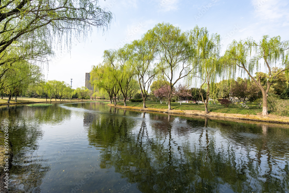 landscape of park